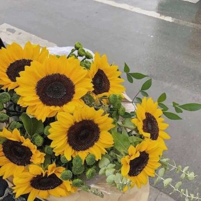 开云电竞app下载