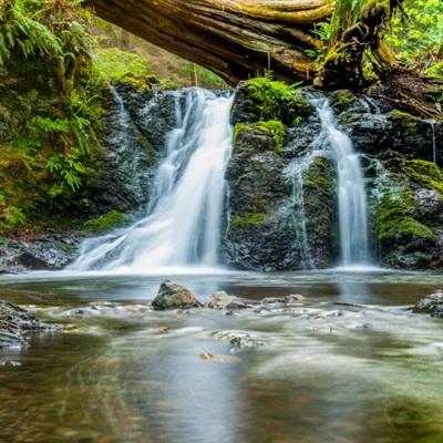 kaiyun体育下载入口