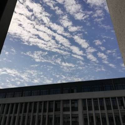 足球彩票正规app下载